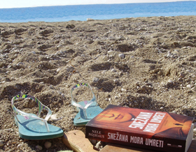 plaža, snežana i laguna laguna knjige