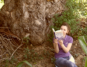 stogodišnje drvo i knjiga navodete na razmišljanje laguna knjige