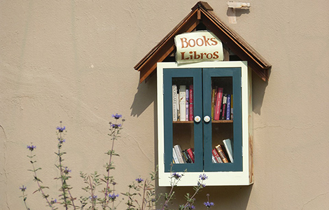 kako jedna mala besplatna biblioteka počne da utiče na svet  laguna knjige