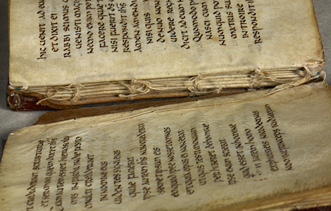 najstarija evropska knjiga pronađena je u grobu sveca laguna knjige