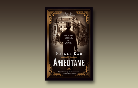 prikaz romana anđeo tame potraga za tajanstvenim otmičarem u starom njujorku laguna knjige