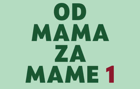 odgovori na baš sva pitanja od mama za mame 1 trudnoća u prodaji od 8 septembra laguna knjige