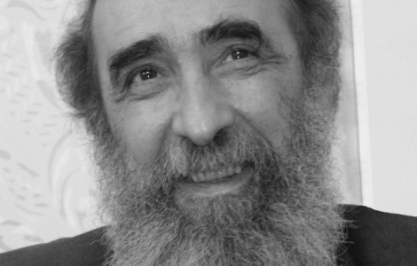 tribina posvećena liku i delu miroslava josića višnjića 10 septembra u francuskoj 7 laguna knjige