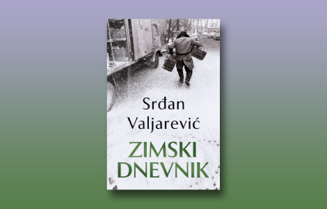 prikaz romana zimski dnevnik lutanje uspomenama laguna knjige