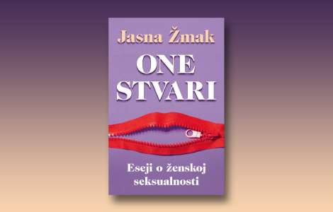 prikaz knjige one stvari jasne žmak laguna knjige