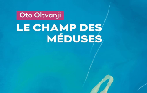 roman polje meduza preveden na francuski jezik laguna knjige