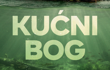 dirljiva priča o pukotinama unutar porodice roman kućni bog rejčel džojs od 2 marta u knjižarama laguna knjige