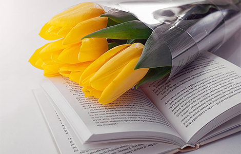 11 razloga zašto treba da se zabavljate sa knjiškim moljcem laguna knjige